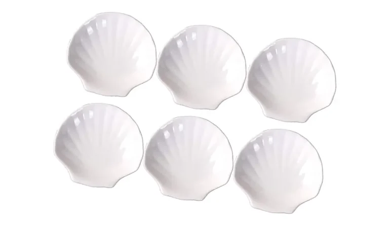 conchas de porcelana