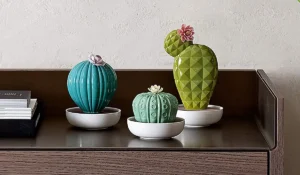 Cactus de Porcelana